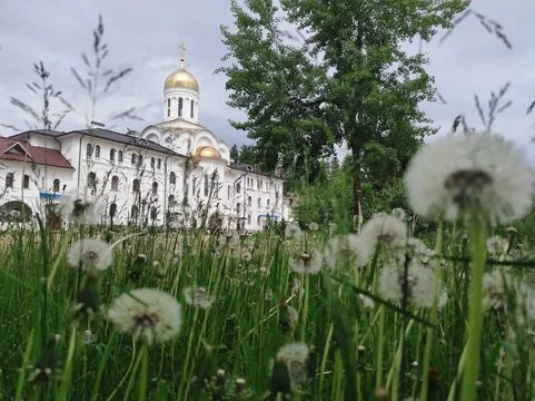 «Всякое дыхание да хвалит Господа» (о молитве)