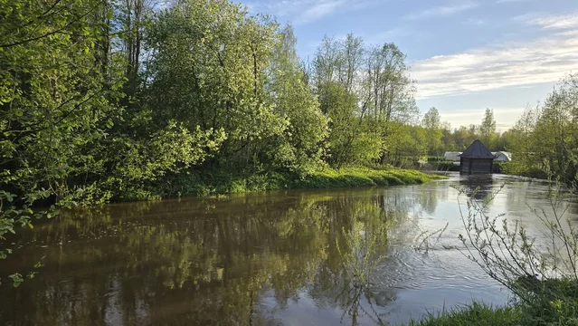 Исцеление слуги сотника