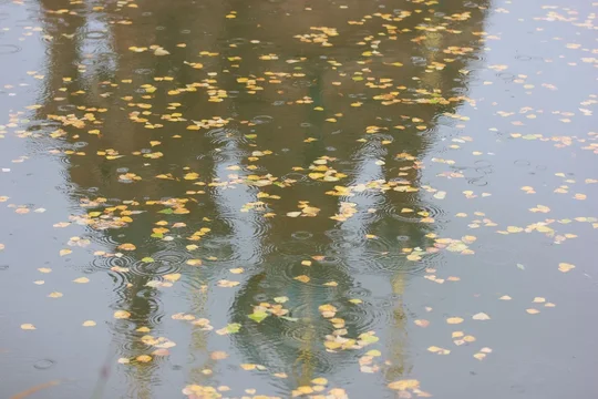 «Не плачь!»