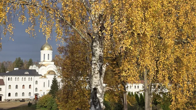 Притча о сеятеле