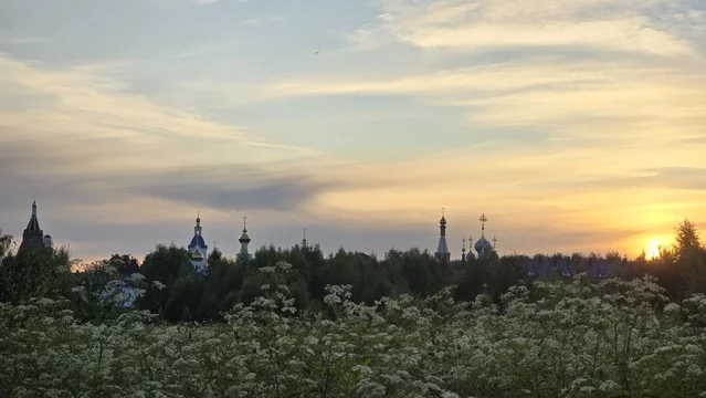 «По природе смиренны»