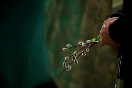 Вербное воскресенье